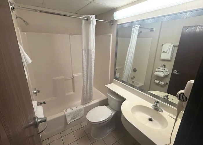 Microtel & By Wyndham Msp Airport 2*